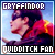 Gryffindor Quidditch-Team