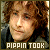 Pippin